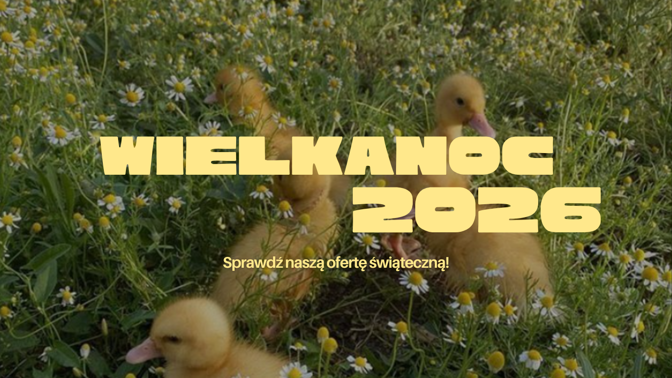 Oferta Wielkanocna